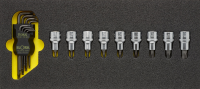 TORX®-Werkzeugsatz, 17-teilig, ELORA-OMS-18